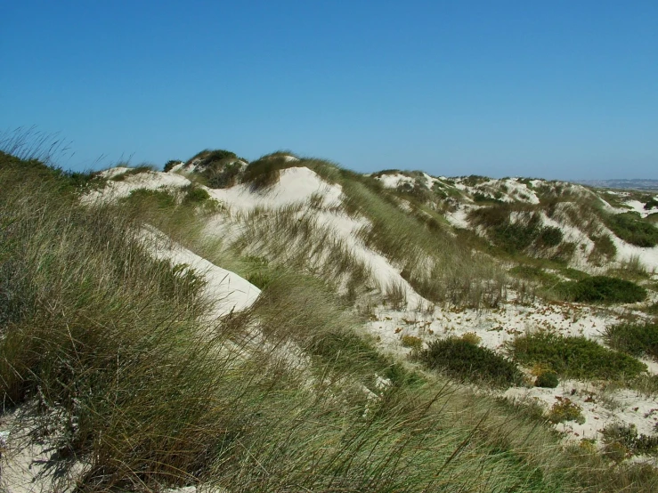 a sandy dune with vegetation growing out the sides of it