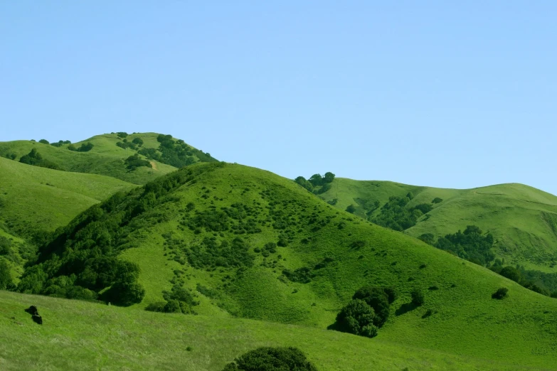 a grassy hill in the foreground with two cows grazing on it