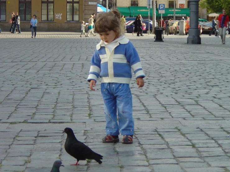 a small boy walking with a black bird near him