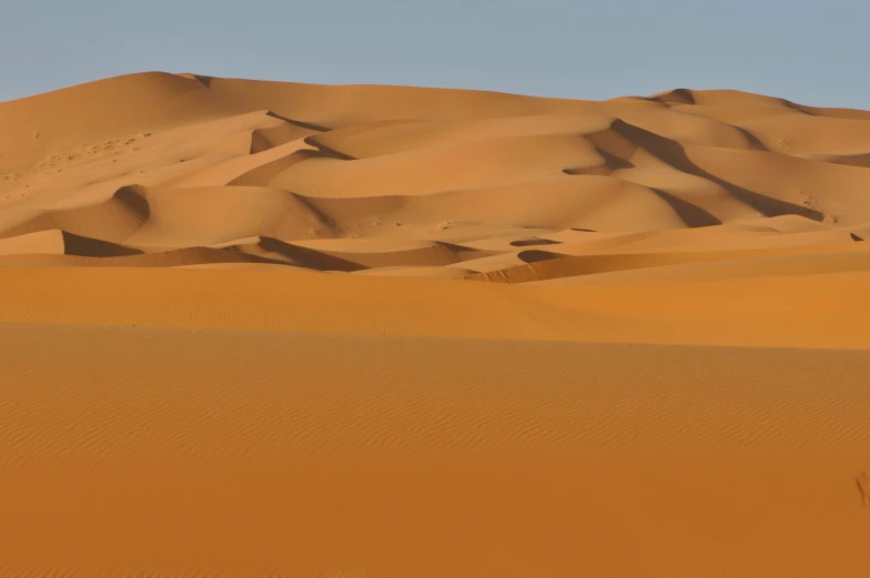 three red camels and one orange camel are standing in the middle of a desert landscape