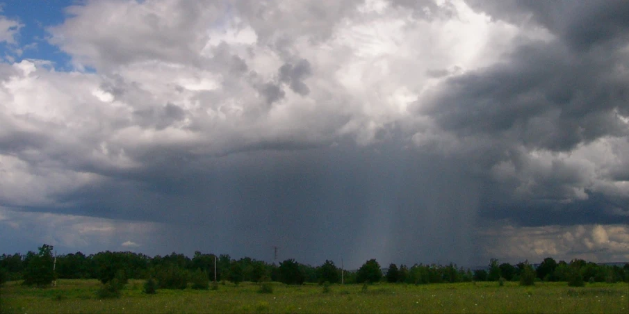 this is the image of a cloudy day in a field