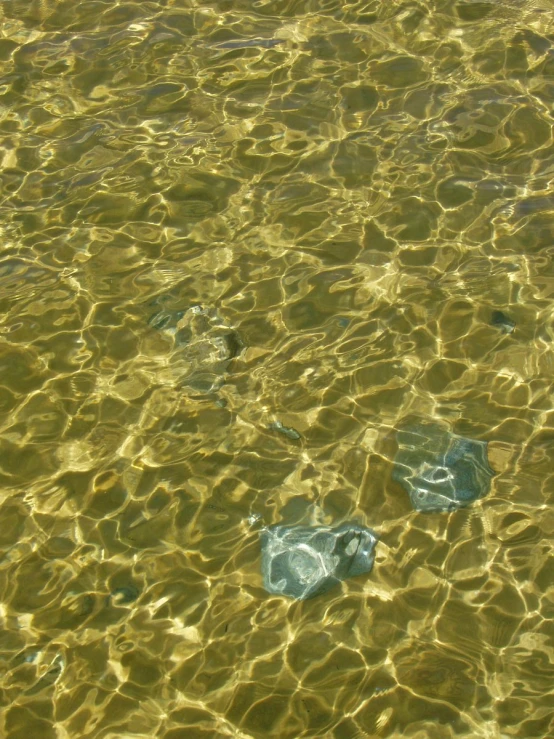blue and green bags floating on water under sunlight