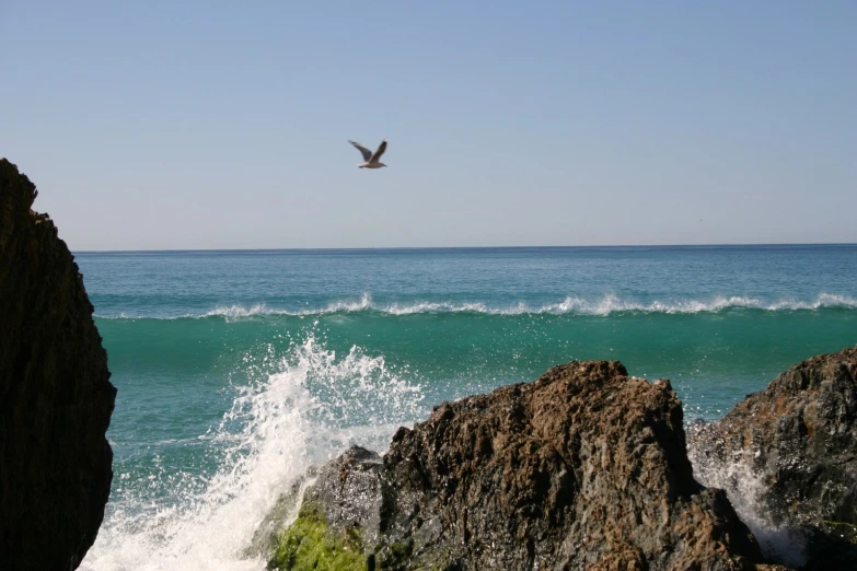 a bird flies over the water of a wave crashing against rocks