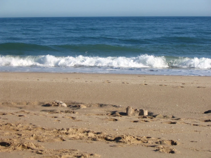 a person with a dog walking across a sandy beach