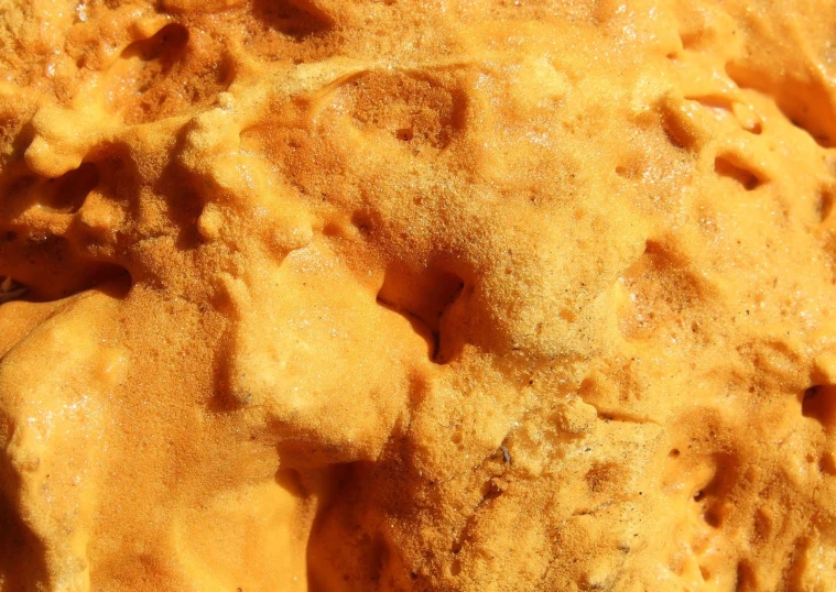 the image shows some type of crust, which is yellow