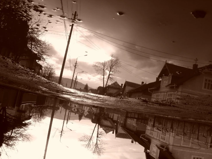 a flooded street with a house and trees next to it