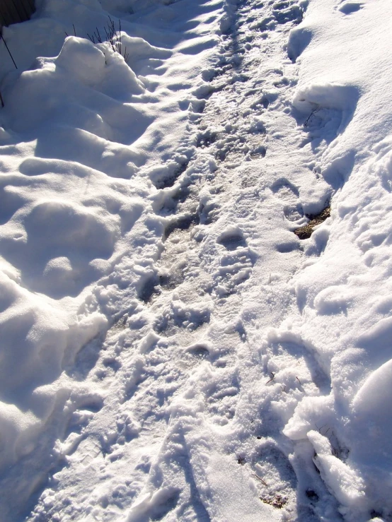 a path covered in snow leading up to a house