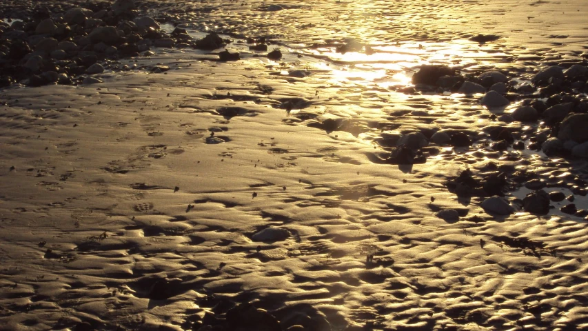 the sun reflects in the water and a sandy shore