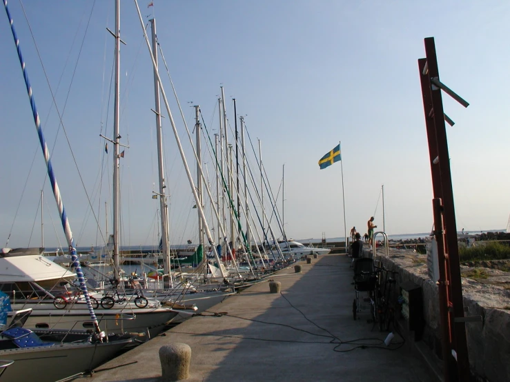 boats are lined up next to each other near a dock