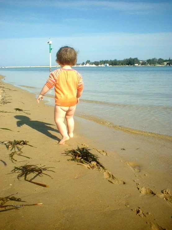 the toddler is walking on the beach and looking at the ocean