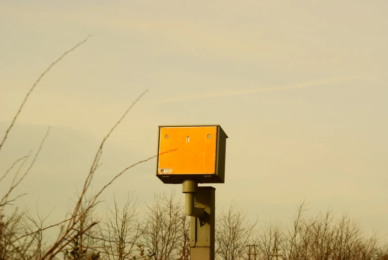 the sky is very overcast, and there is an orange bird box