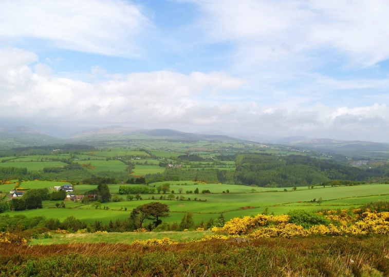 the landscape is beautiful and green with lots of flowers