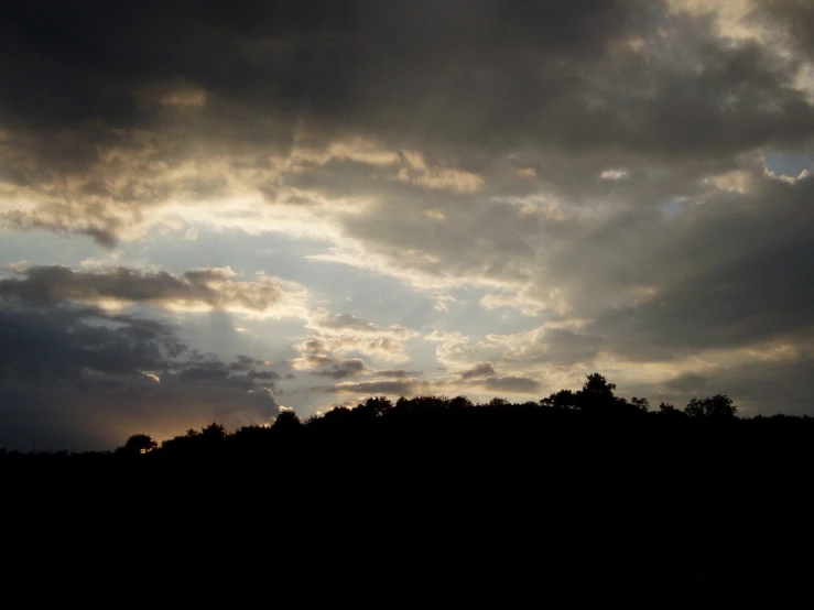 the trees are silhouetted against the dark cloudy sky