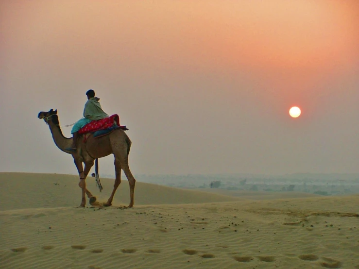 a man sits on a camel in the desert