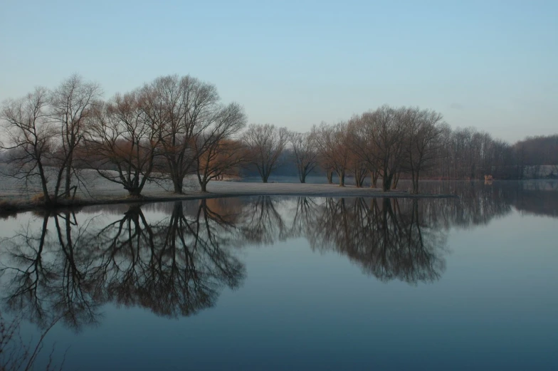 a body of water with many trees on the shore