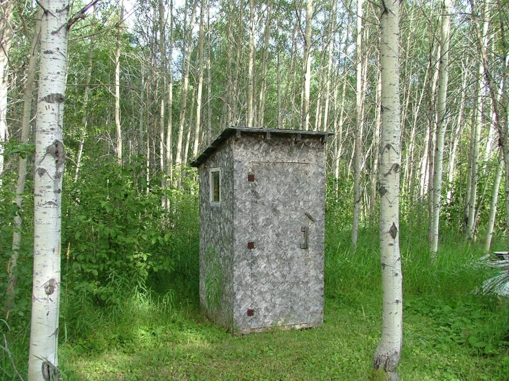 a out house sits near several trees in the woods