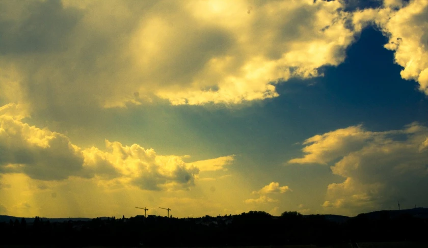 birds flying up in the sky above a field