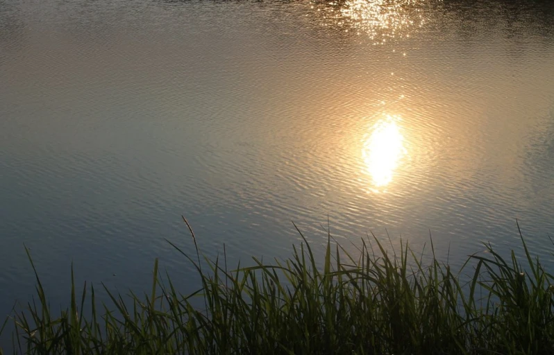 a bright light reflecting in the water of a lake