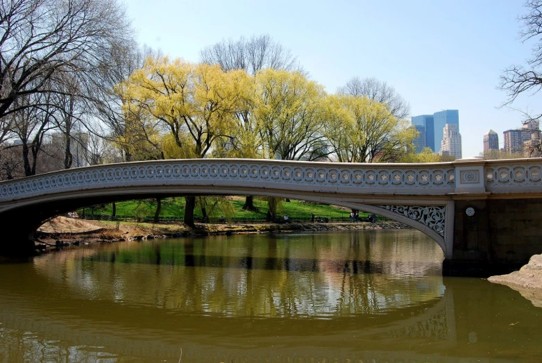 a bridge over water in a city park