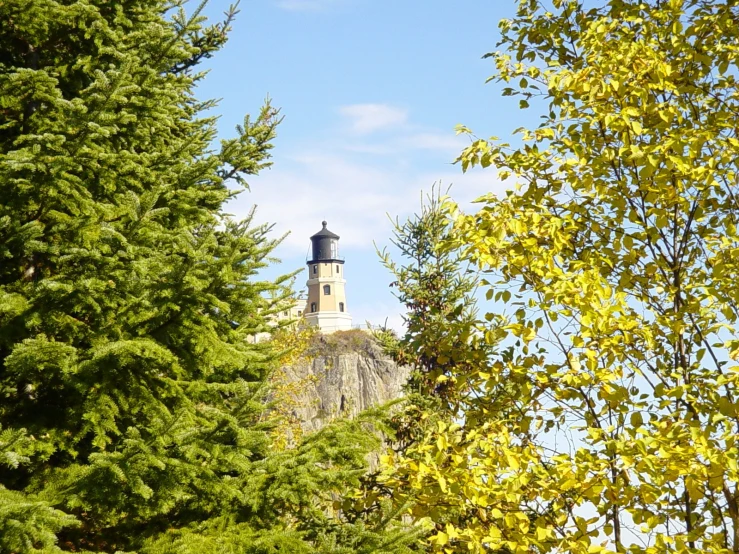 the steeple of a building stands through trees