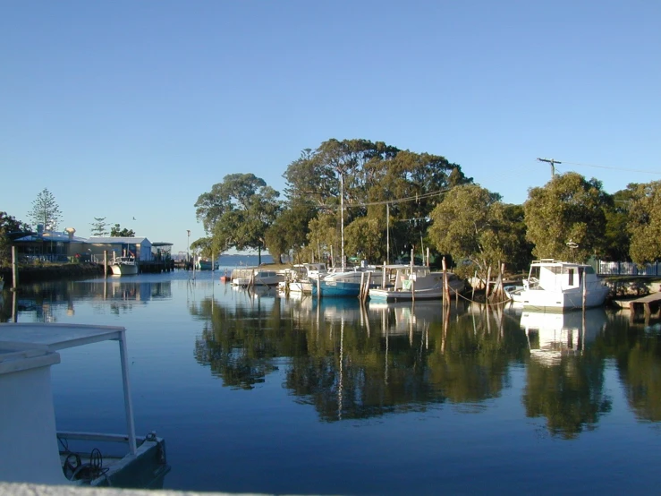 many boats floating in the water on a sunny day