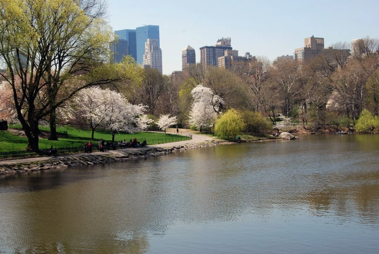 people sit in park chairs near the water