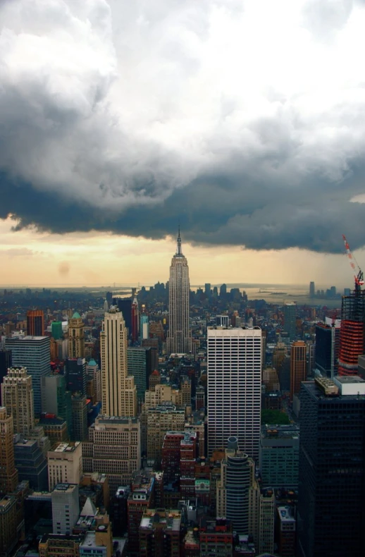 a view of the skyline from the top of an observation tower