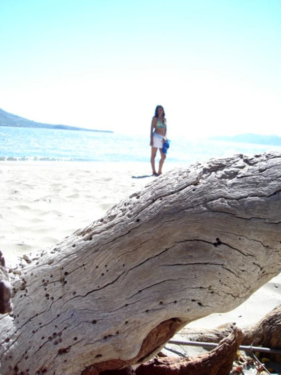 the girl stands on a large piece of driftwood in the water