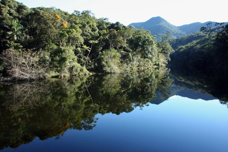 the reflection of trees on a river surrounded by mountains