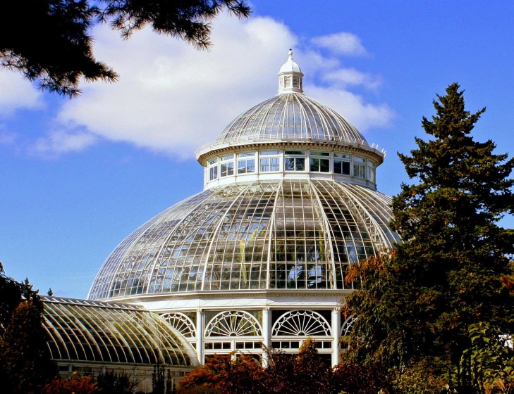 a clear and ornate building next to some trees