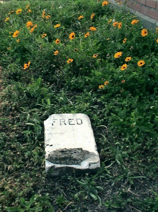 a grave surrounded by flowers and some weeds