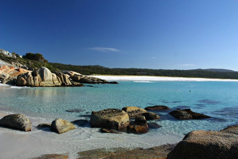 the blue water on a clear day at the beach