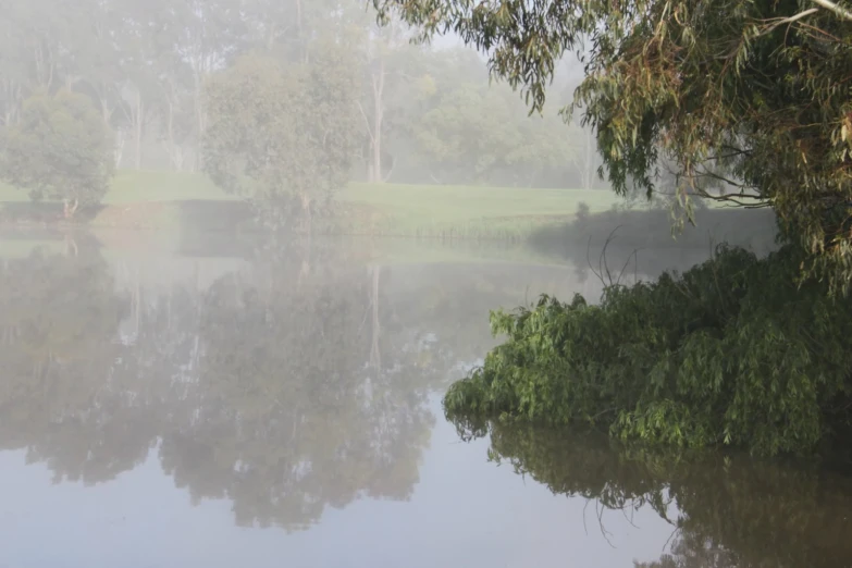 misty day on a river with foggy water