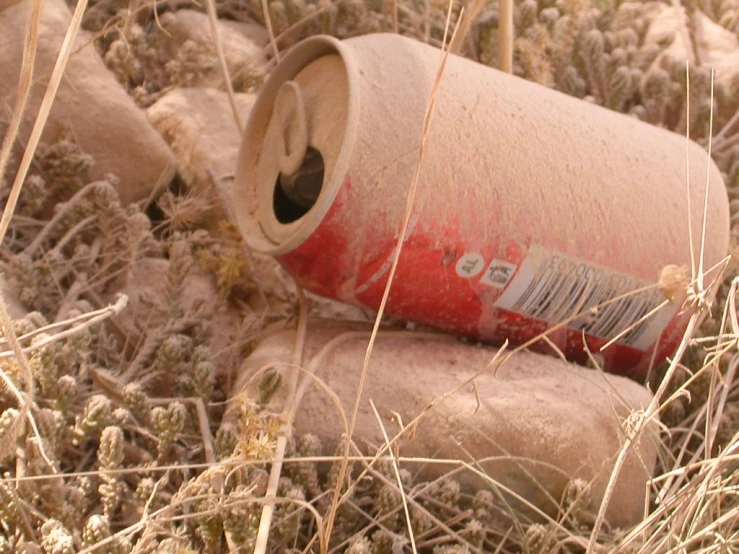 a can of red stuff is laying on the ground