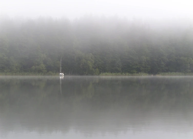 the boat is in a lake with fog hanging from the trees