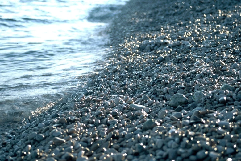 the beach is covered with pebbles and seaweed