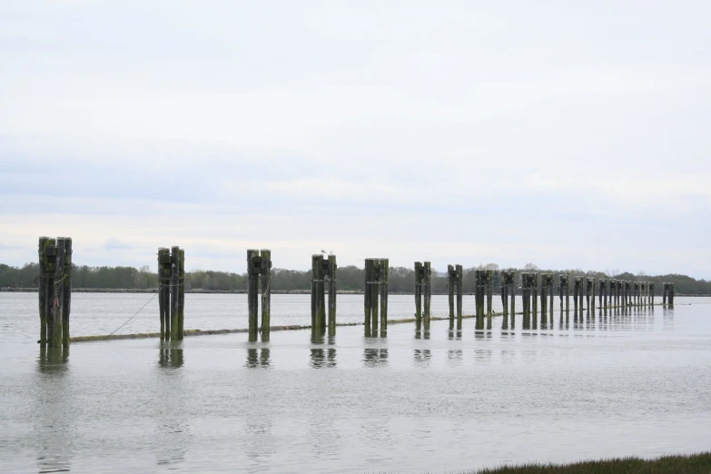 a body of water that has some poles sticking out of it