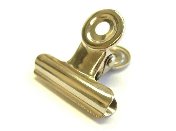 a pair of ss toned safety clasps