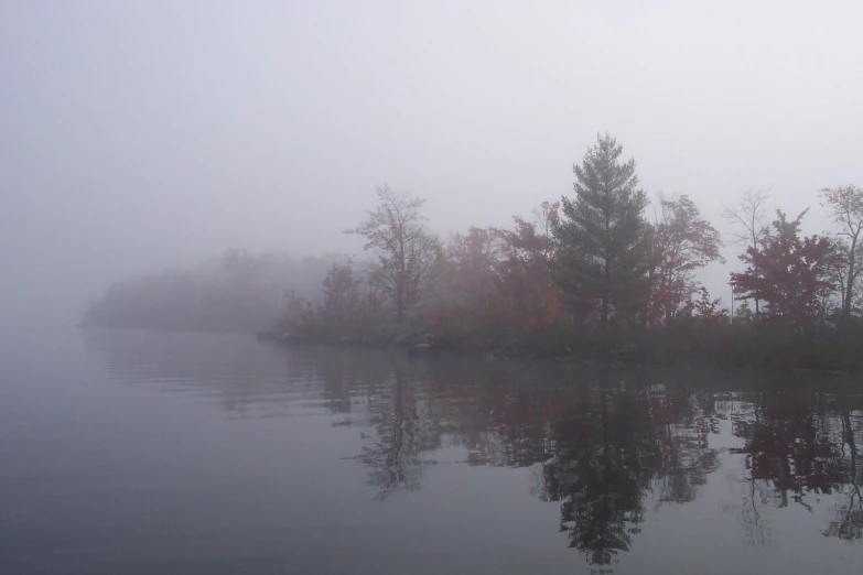 foggy morning on a small lake with trees in the distance