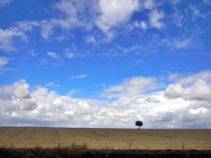 a lonely tree is shown in the middle of a field