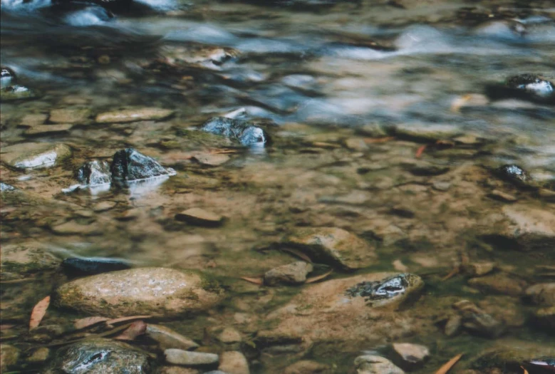 small rocks are on the ground in the water