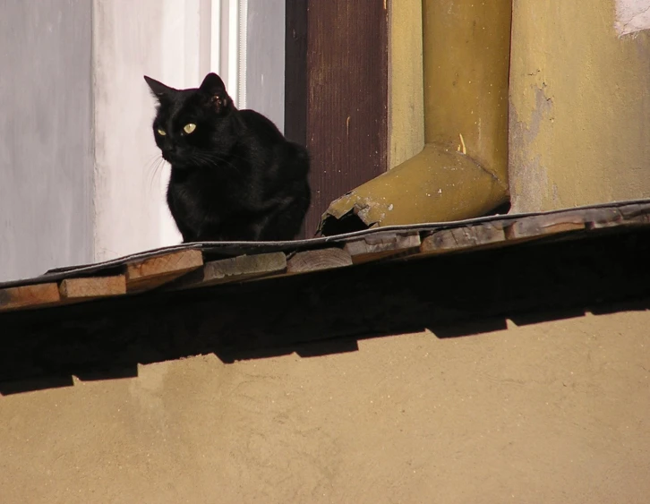 a black cat standing on top of an open window