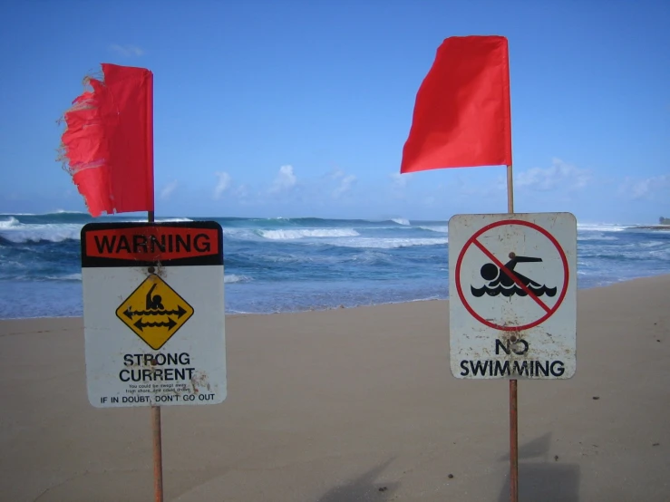 several warning signs are on the beach near the water