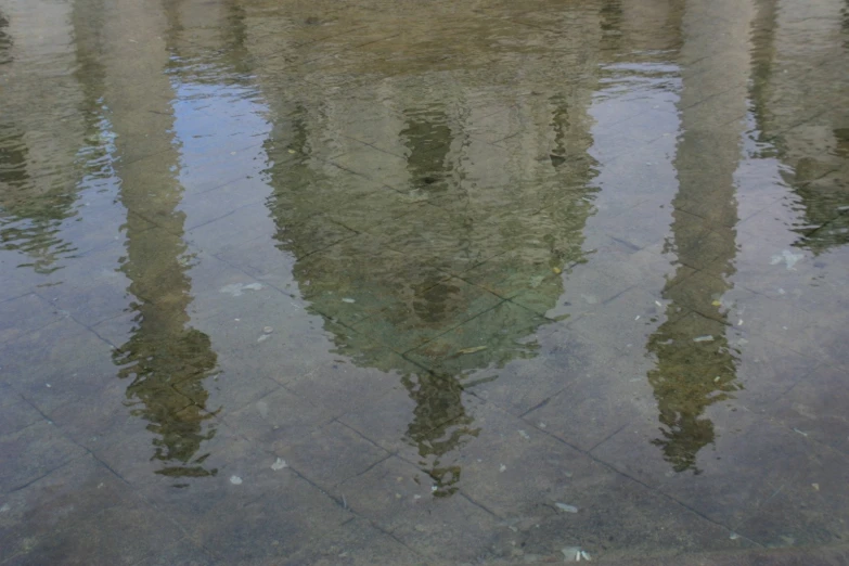 this picture shows the reflection of many tall buildings