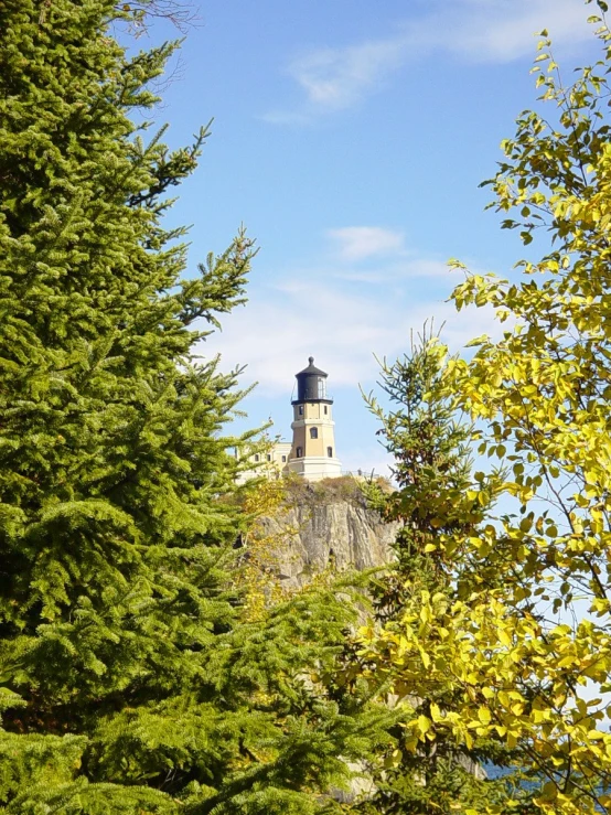 a view looking through trees of a lighthouse