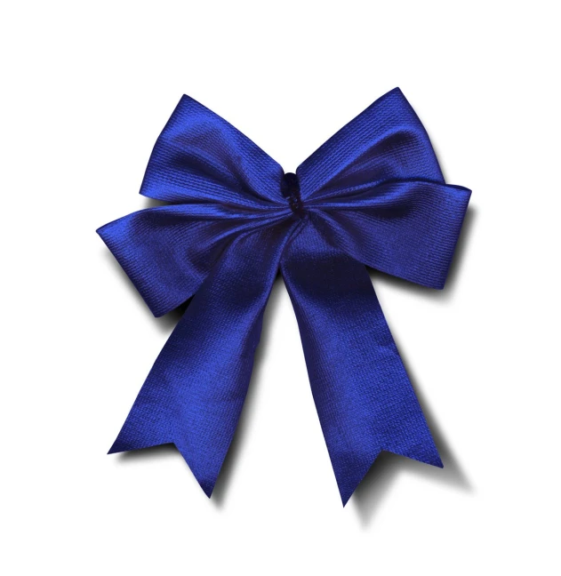 the back of a blue ribbon bow