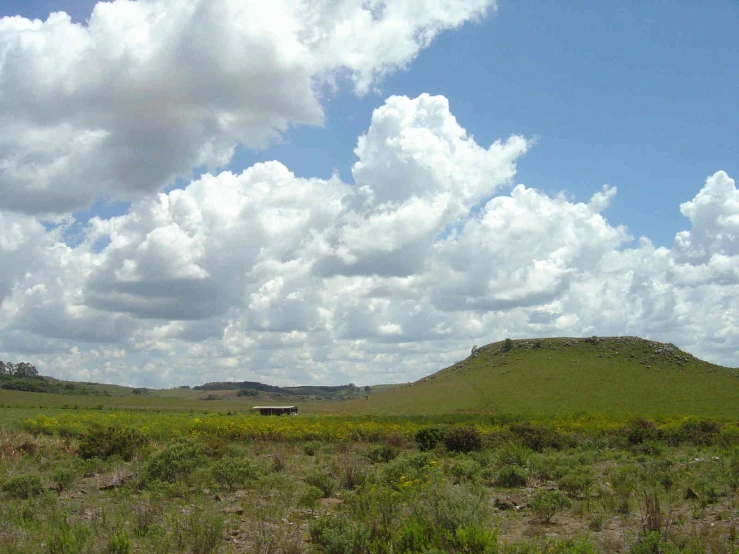 a landscape with a grassy field and blue sky