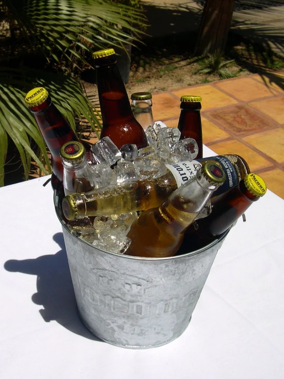 several bottles of beer are in an ice bucket