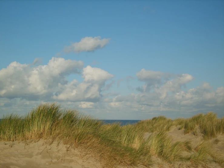 a sandy beach under cloudy blue skies