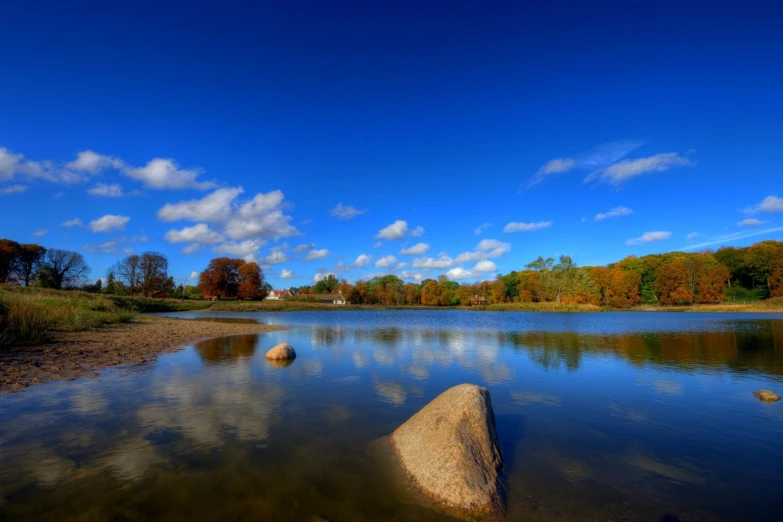 a lake surrounded by a lush green forest